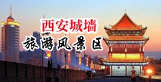 大黑毛逼操大黑吊高清MP4中国陕西-西安城墙旅游风景区
